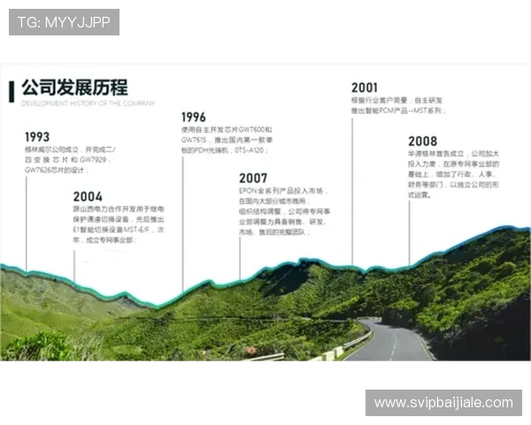 PA亚游平台介绍：全面解析平台背景与发展历程