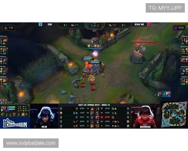 DG视讯中国区官方平台最新资讯与行业动态全面解析助力玩家掌握第一手游戏信息