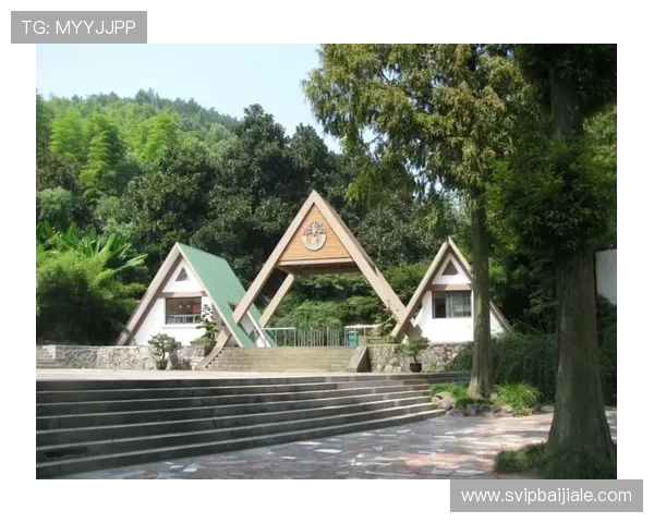 如何注册并安全登录PA视讯官网平台，详细步骤指导让你快速开启游戏之旅