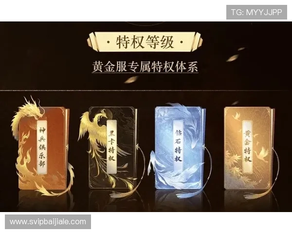 AG视讯厅VIP会员权益详解让你在游戏中尽享尊贵身份与专属优惠