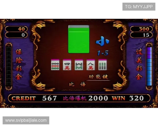 最新龙虎真人图片合集,展现最真实的游戏画面与精彩瞬间