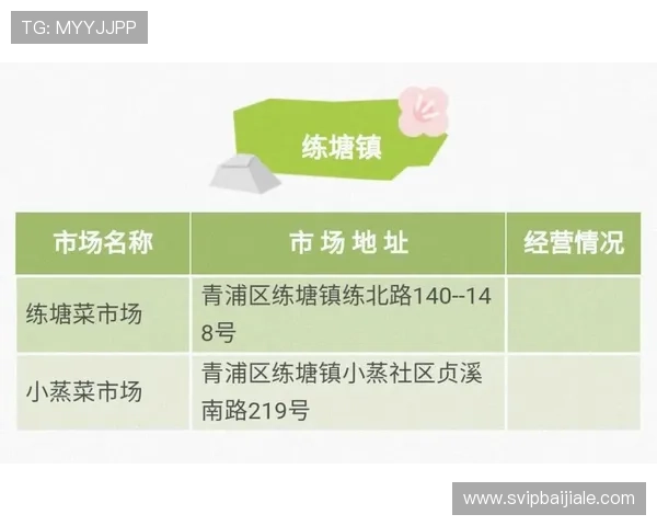 掌握澳门百家乐的基本规则与实用技巧实现稳健盈利的详细指南 掌握澳门百家乐的基本规则与实用技巧实现稳健盈利的详细指南