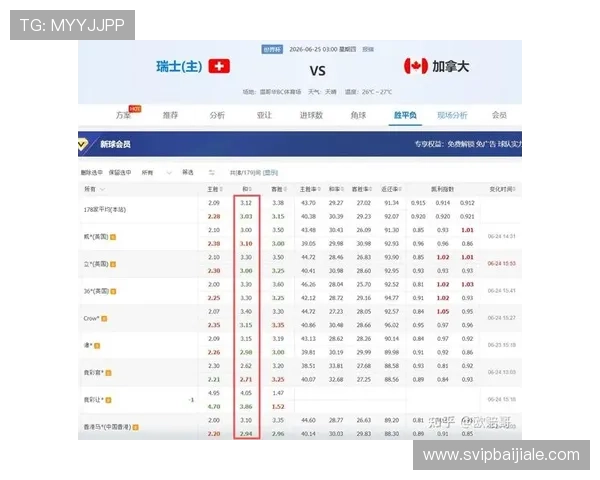 世界杯瑞士对加拿大比赛中犯规数详细统计与分析报告